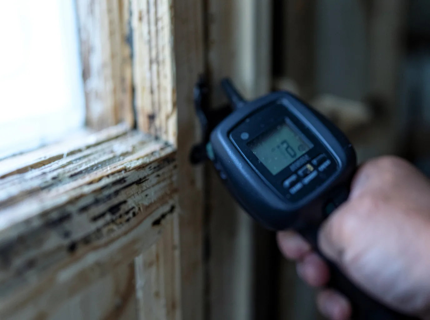 Moisture Inspection And Documentation in West Harwich, MA